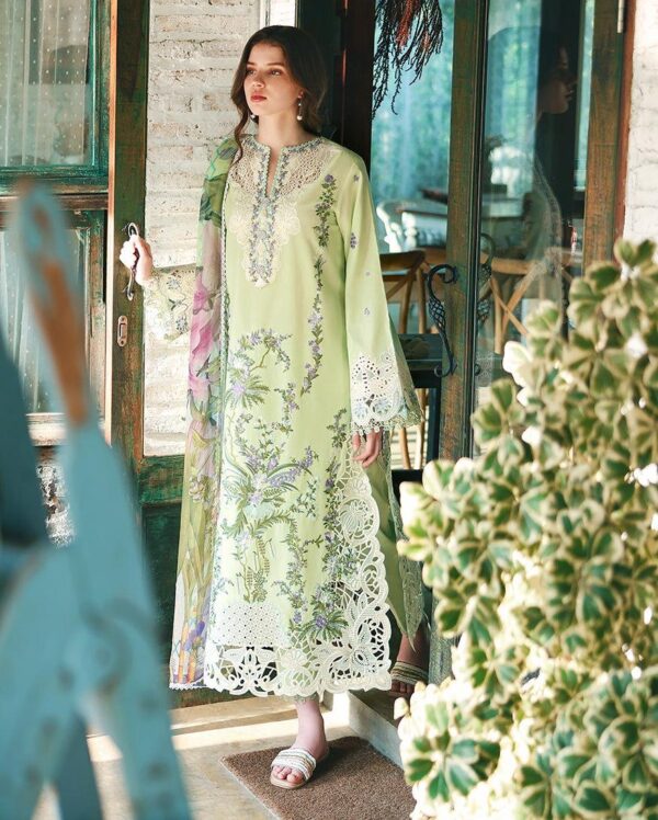 WINTER COLLECTION 2026